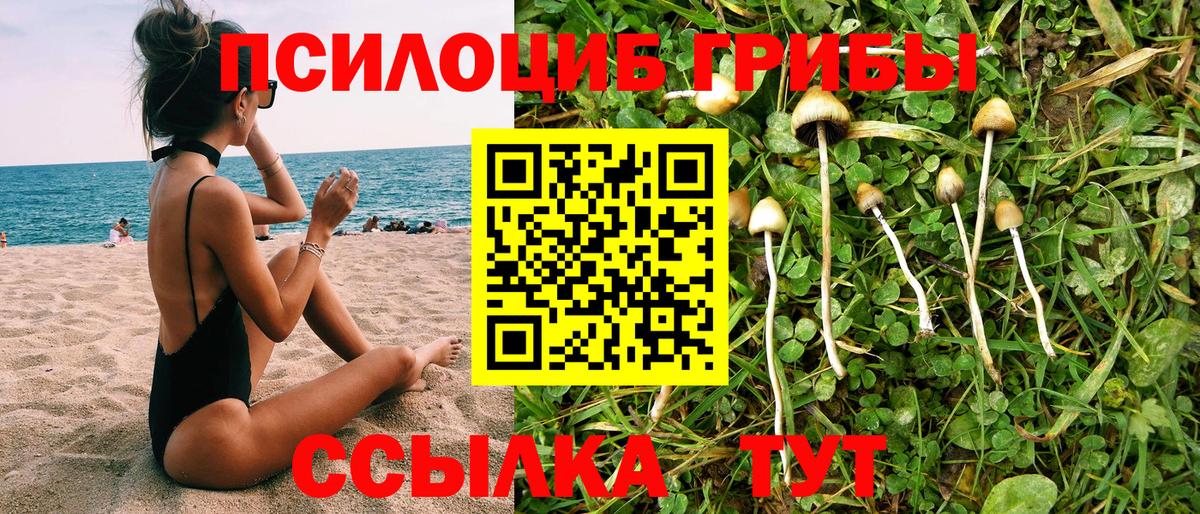дарнет шоп  Вход с VPN  Азнакаево  Галлюциногенные грибы Psilocybe 
